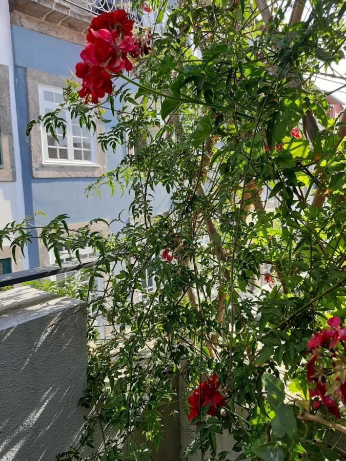 Amazing City Center Apartment Porto Villa Loios Εξωτερικό φωτογραφία
